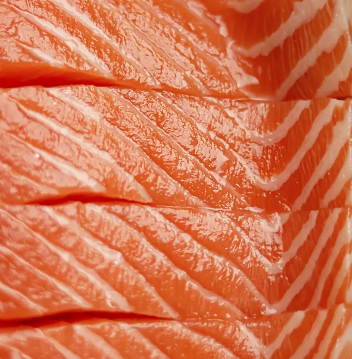 Framed Print : Fresh raw salmon fillets displaying detailed texture and natural color Framed Print : Fresh raw salmon fillets displaying detailed texture and natural color