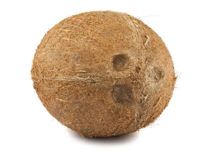Framed Print : Fresh ripe coconut isolated on white background