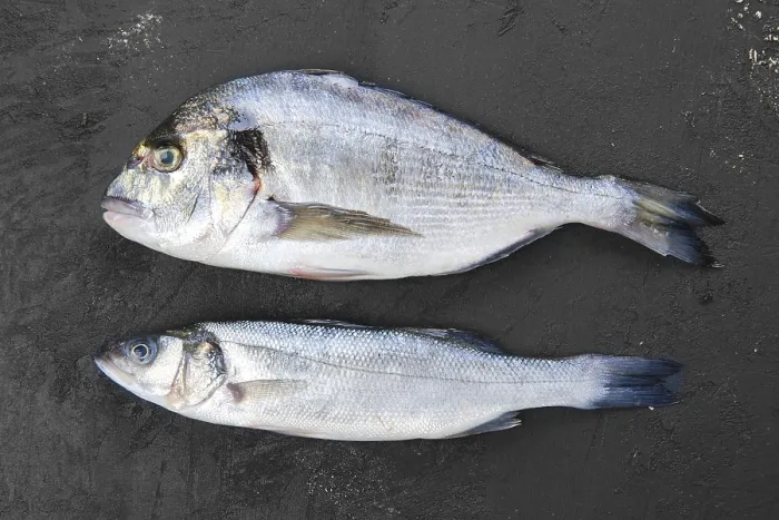 Framed Print : Fresh seabass and seabream fish on black stone background