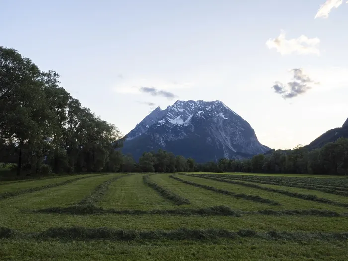 Framed Print : Freshly mown grass, behind the Grimming