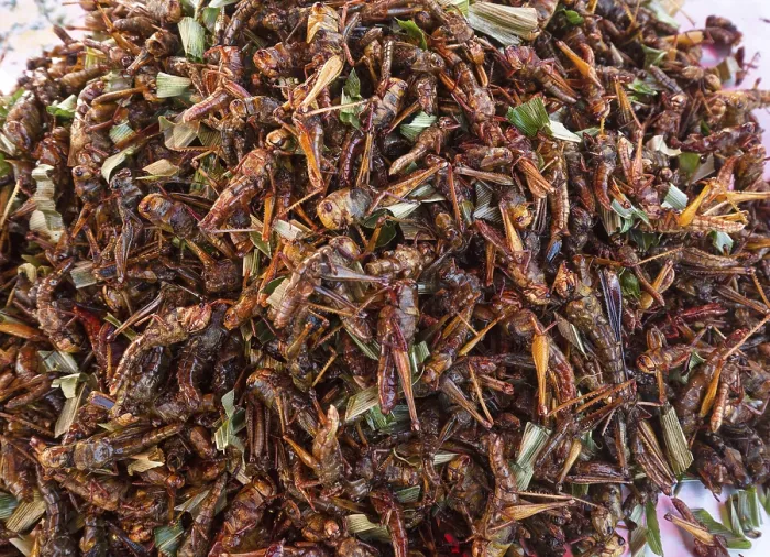 Framed Print : Fried grasshoppers on a market