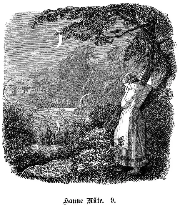 Framed Print : Fritz Reuter (1810) (1874) Low German writer and poet