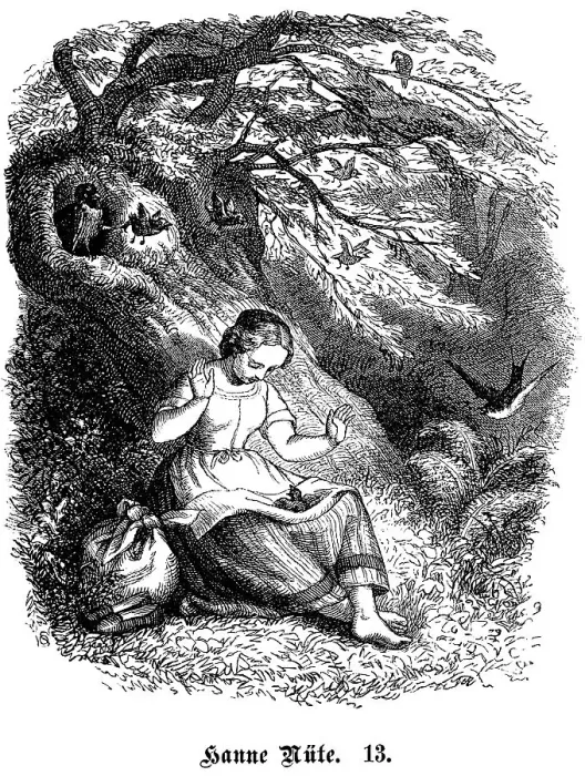 Framed Print : Fritz Reuter (1810) (1874) Low German writer and poet Framed Print : Fritz Reuter (1810) (1874) Low German writer and poet