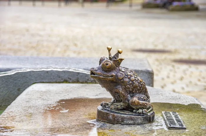 Framed Print : Frog King, bronze figure at the Theodul Fountain on the market square in Ehingen an der Donau Framed Print : Frog King, bronze figure at the Theodul Fountain on the market square in Ehingen an der Donau