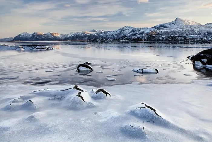 Framed Print : Frozen fjord in winter, Lofoten, Norway, Europe