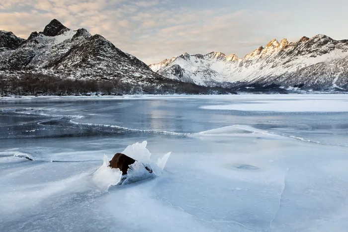 Framed Print : Frozen fjord in winter, Lofoten, Norway, Europe Framed Print : Frozen fjord in winter, Lofoten, Norway, Europe