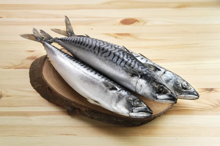 Framed Print : Frozen mackerel on wooden table
