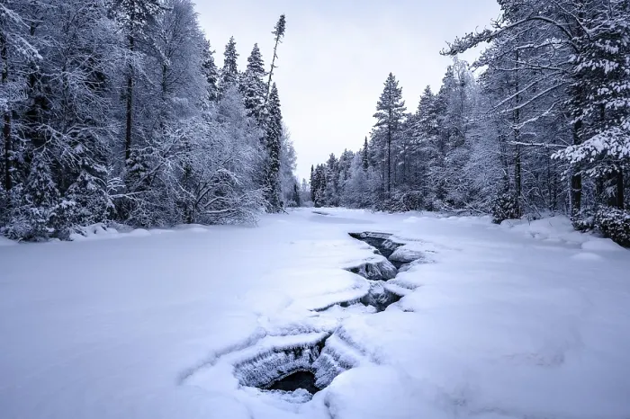 Framed Print : Frozen river with cracks between snowy trees in a quiet winter forest
