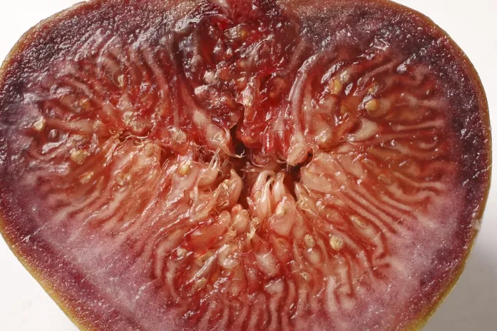 Framed Print : Fruit, Fig Ficus Carica Anjir half cut with red juicy texture on white background