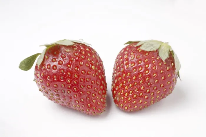 Framed Print : Fruit, Strawberry Fragaria Ananassa on white background Framed Print : Fruit, Strawberry Fragaria Ananassa on white background