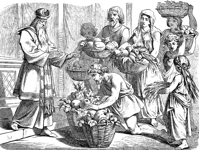 Framed Print : Put the fruits of the land in a basket