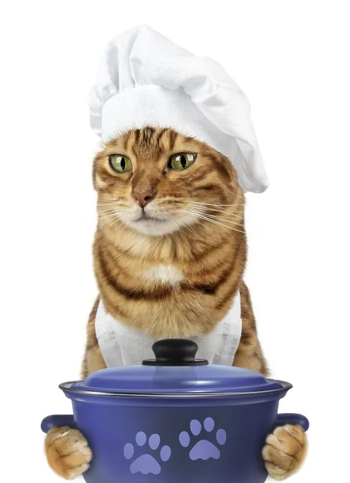Framed Print : Funny cat - a cook with a pan in his paws on a white background