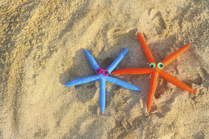 Framed Print : Funny colorful laying in the sand star fishes at the beach