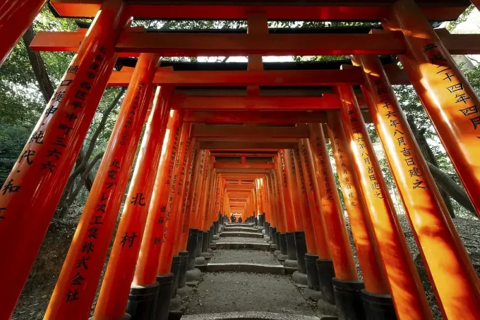 Framed Print : Fushimi Inari Taisha, Shinto Shrine Framed Print : Fushimi Inari Taisha, Shinto Shrine