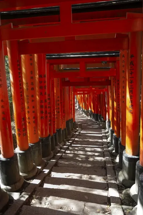 Framed Print : Fushimi Inari Taisha, Shinto Shrine
