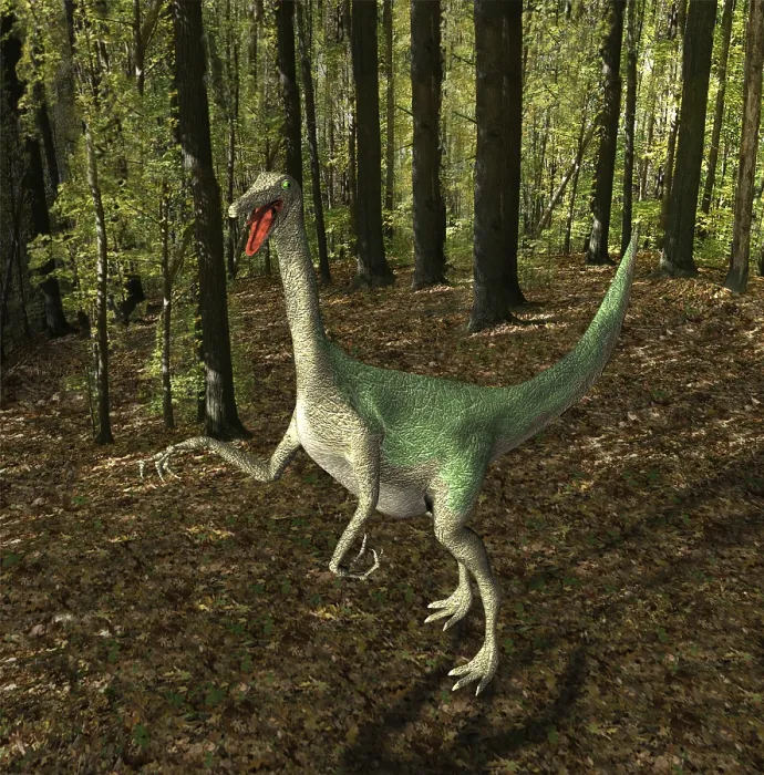 Framed Print : The Gallimimus seemed also chickens to imitators mentioned with a length from more than 6 meters it in the Cretaceous