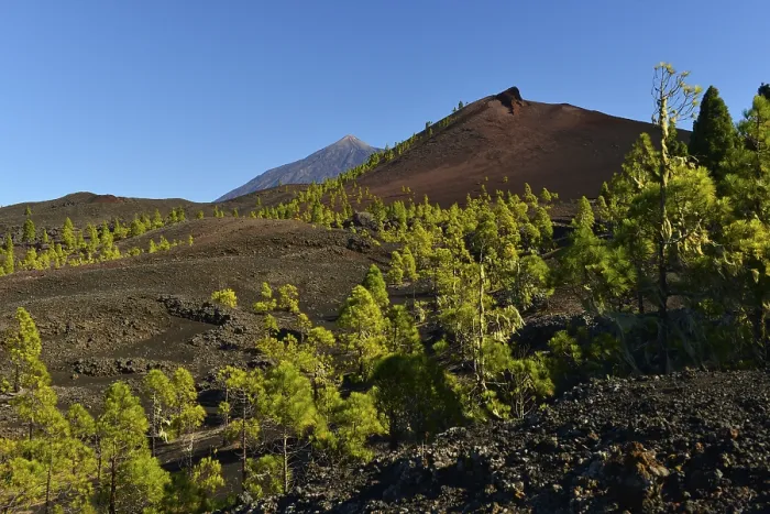 Framed Print : Garachico and El Teide volcanoes