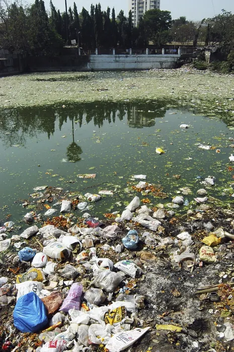 Framed Print : Garbage thrown in to pond in Bombay now Mumbai