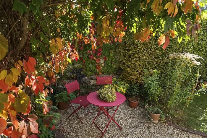 Framed Print : Garden arbour with garden table and chairs with autumnal vine leaves