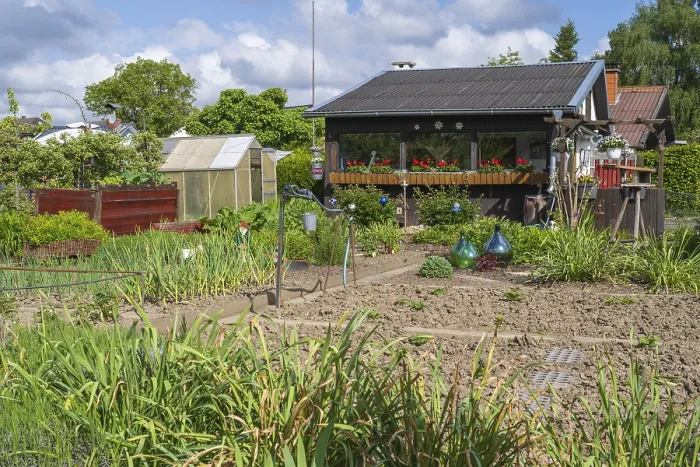 Framed Print : Garden shed with flower boxes in allotment garden Framed Print : Garden shed with flower boxes in allotment garden
