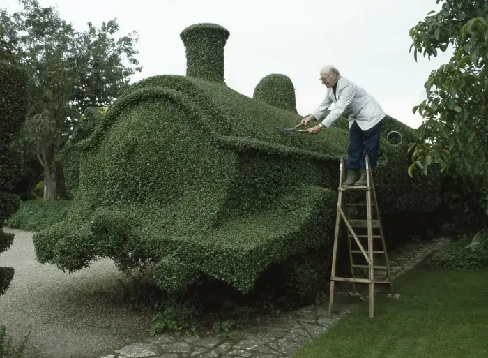 Framed Print : Gardener cuts draught from a hedge
