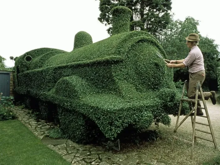 Framed Print : Gardener cuts draught from a hedge Framed Print : Gardener cuts draught from a hedge