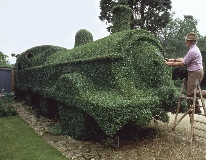 Framed Print : Gardener cuts draught from hedges Framed Print : Gardener cuts draught from hedges