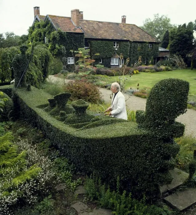 Framed Print : Gardener cuts gondola from a hedge