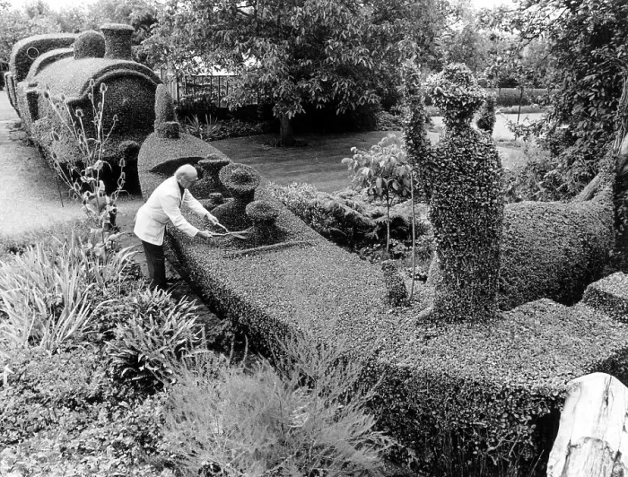 Framed Print : Gardener cuts hedges in the shape of a gondola Framed Print : Gardener cuts hedges in the shape of a gondola