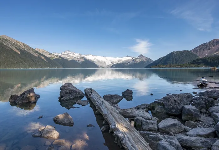 Framed Print : Garibaldi Lake, tree trunks on the shore Framed Print : Garibaldi Lake, tree trunks on the shore