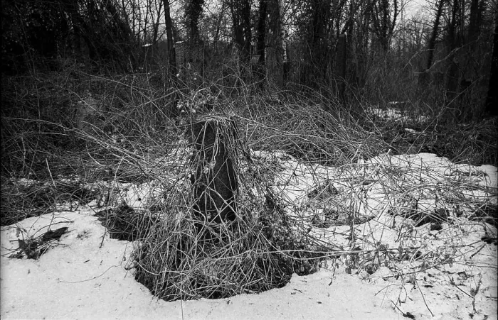 Framed Print : GDR, Berlin, 09.02.1987, Jewish cemetery Weissensee