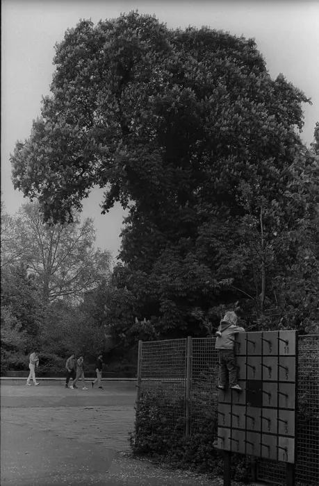 Framed Print : GDR, Berlin, 21. 05. 1987, climbing wall in Monbijoupark