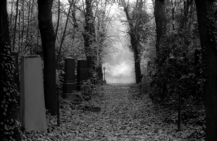 Framed Print : GDR, Berlin, 25.10.1987, Jewish cemetery Weissensee