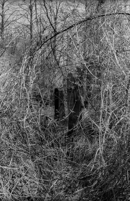Framed Print : GDR, Berlin, 27.04.1987, Jewish cemetery Weissensee