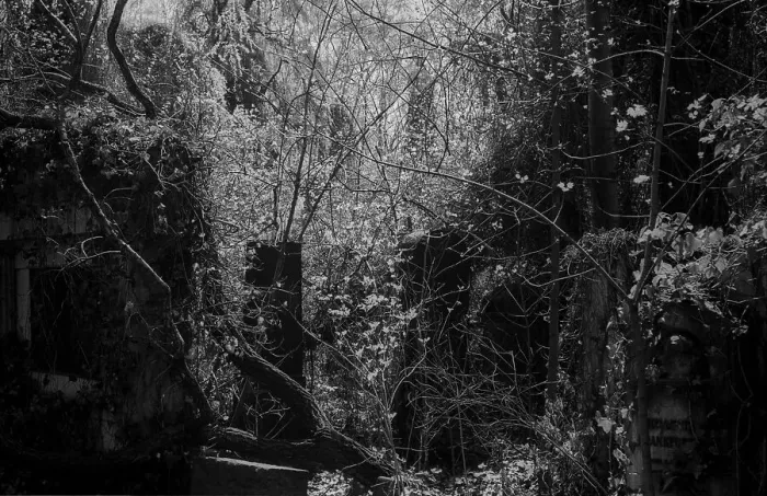 Framed Print : GDR, Berlin, 27.04.1987, Jewish cemetery Weissensee