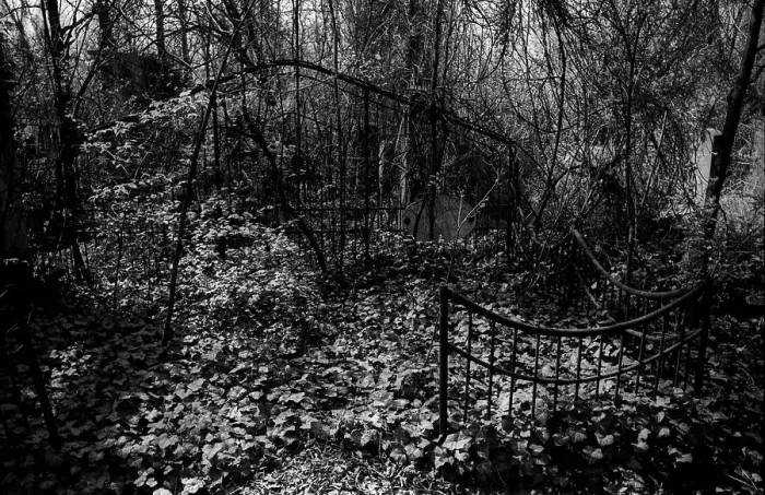 Framed Print : GDR, Berlin, 27.04.1987, Jewish cemetery Weissensee Framed Print : GDR, Berlin, 27.04.1987, Jewish cemetery Weissensee