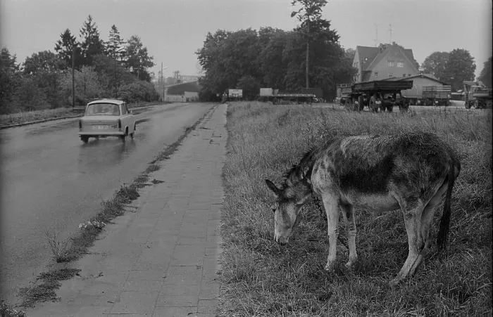 Framed Print : GDR, Feldberg, 15.09.1989, Street scene in Feldberg