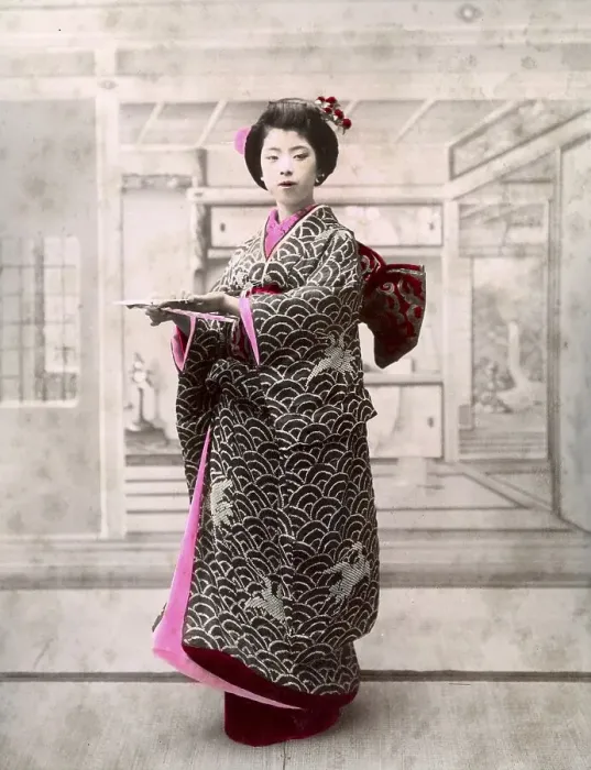 Framed Print : Geisha, Japan, Asia Framed Print : Geisha, Japan, Asia