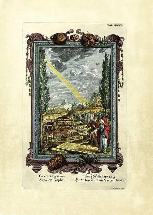 Framed Print : Genesis 6 / 14, Die Arch gebauet aus dem Holtz Gopher Framed Print : Genesis 6 / 14, Die Arch gebauet aus dem Holtz Gopher