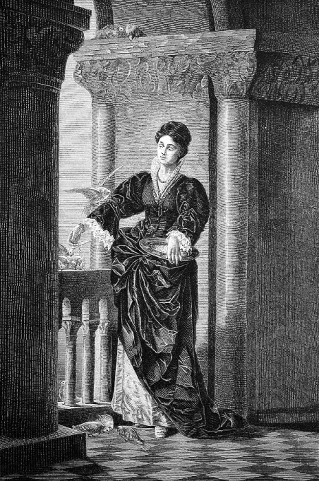 Framed Print : Gentlewoman from Venice, Italy Framed Print : Gentlewoman from Venice, Italy