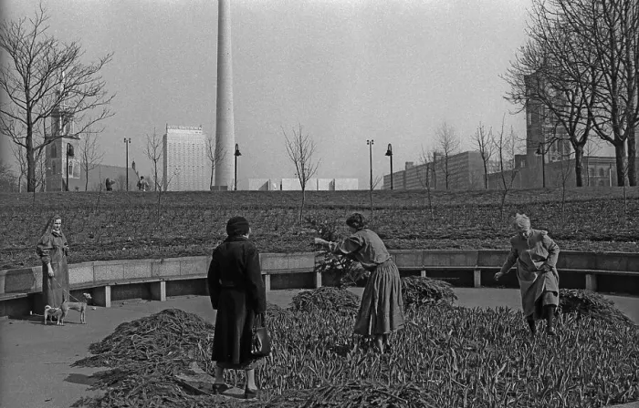 Framed Print : Germany, Berlin, 14. 03. 1991, flowerbed at the Marx-Engels-Forum Framed Print : Germany, Berlin, 14. 03. 1991, flowerbed at the Marx-Engels-Forum