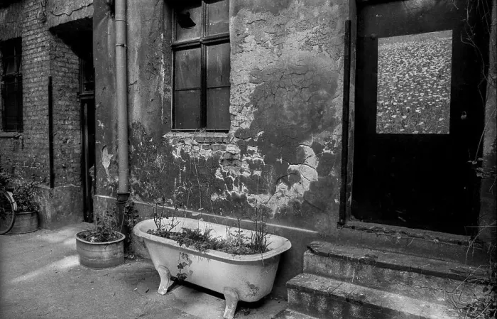 Framed Print : Germany, Berlin, 21.04.1991, backyard in Oderberger Strasse