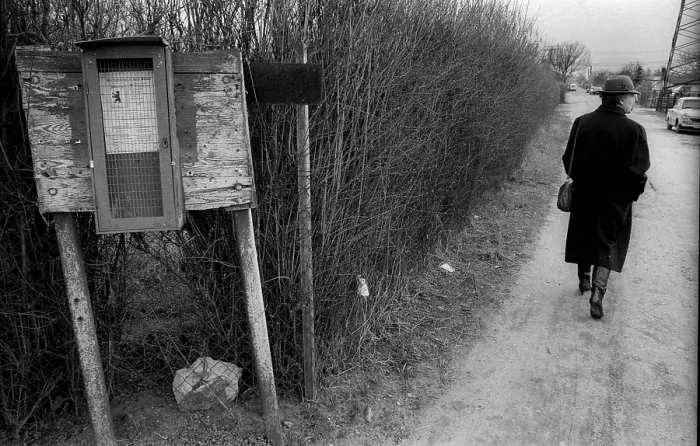 Framed Print : Germany, Berlin, 23 March 1992