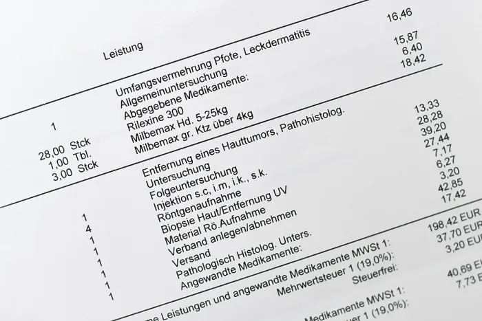 Framed Print : Germany - January 20th 2026: Close up of German veterinary bill with detailed medicine and procedure listings