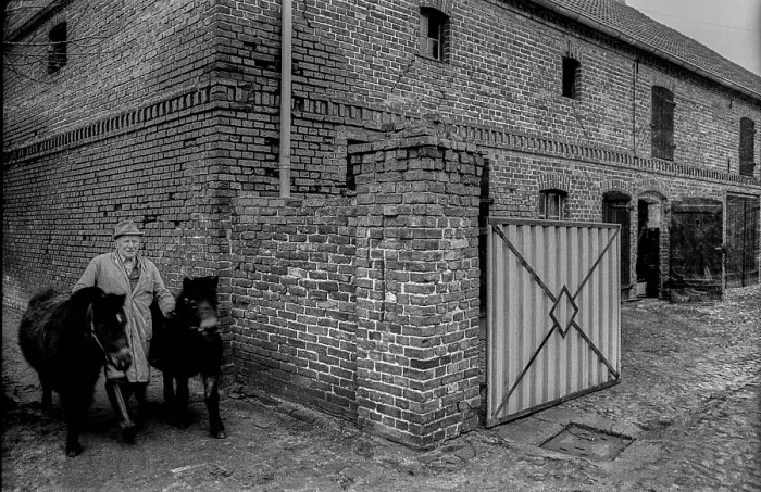 Framed Print : Germany, Kampehl, 01 / 02 / 1992, farmer with two horses, ponies, in Kampehl, Europe Framed Print : Germany, Kampehl, 01 / 02 / 1992, farmer with two horses, ponies, in Kampehl, Europe