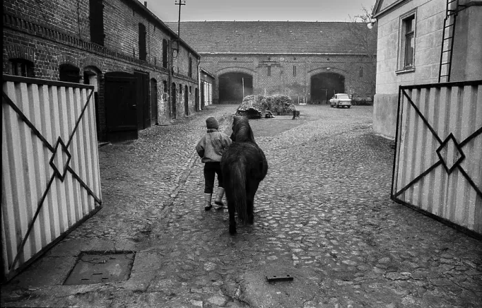 Framed Print : Germany, Kampehl, 01.02.1992, Child with horse, pony, in Kampehl, Europe Framed Print : Germany, Kampehl, 01.02.1992, Child with horse, pony, in Kampehl, Europe