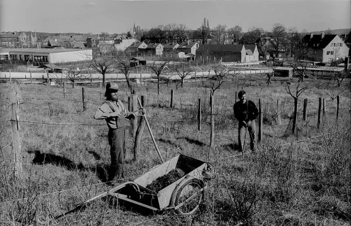 Framed Print : Germany, Werder, 29 / 03 / 1991, garden worker in Werder Framed Print : Germany, Werder, 29 / 03 / 1991, garden worker in Werder