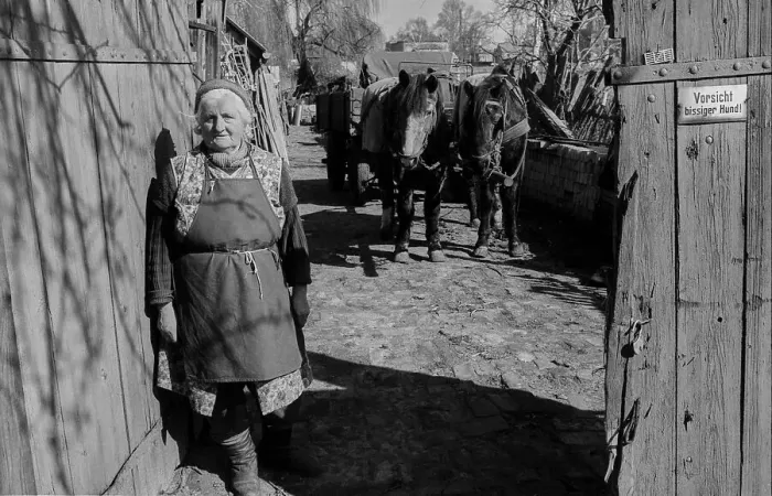 Framed Print : Germany, Werder, 29.03.1991, elderly farmer's wife in Werder