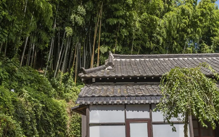 Framed Print : Geumsan, South Korea, September 12