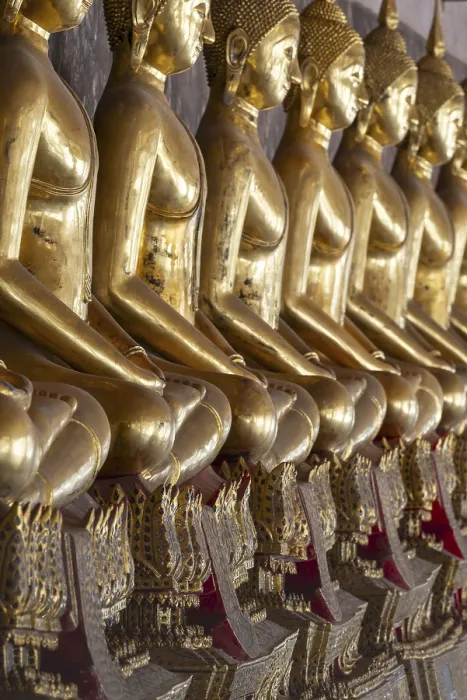 Framed Print : Gilded Buddha statues (Bhumispara mudra: Buddha Gautama at the moment of enlightenment) Framed Print : Gilded Buddha statues (Bhumispara mudra: Buddha Gautama at the moment of enlightenment)